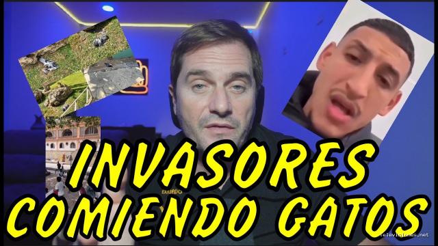 Exiliado Fiscal | 21 de agosto de 2026 | Invasores se Comen los Gatos de Ceuta