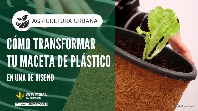 Prestosu | 23 de septiembre de 2026 | Canal Prestosu | Agricultura urbana: cómo transformar tu maceta de plástico en una de diseño