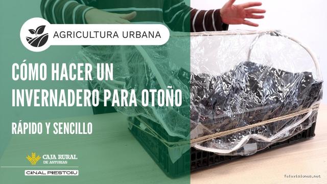 Prestosu | 16 de septiembre de 2026 | Canal Prestosu | Agricultura urbana: cómo hacer un para